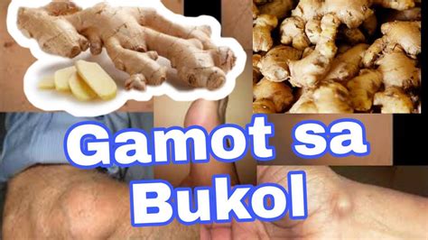 ang mga bukol bukol herbal capsule lyrics|Halamang Gamot Sa Bukol Sa Suso: Anu.